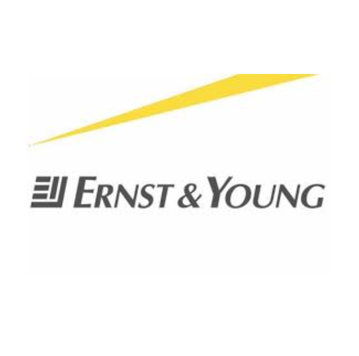 ERNST & YOUNG